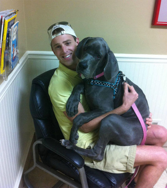 животные у ветеринара, кошка собака боится ветеринара, спрятался у ветеринара