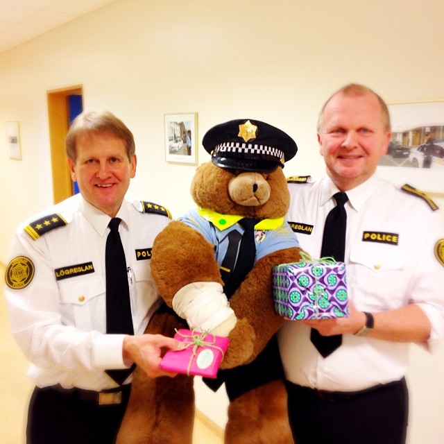 Инстаграм исландских полицейских, Инстаграм полиции Рейкьявика 