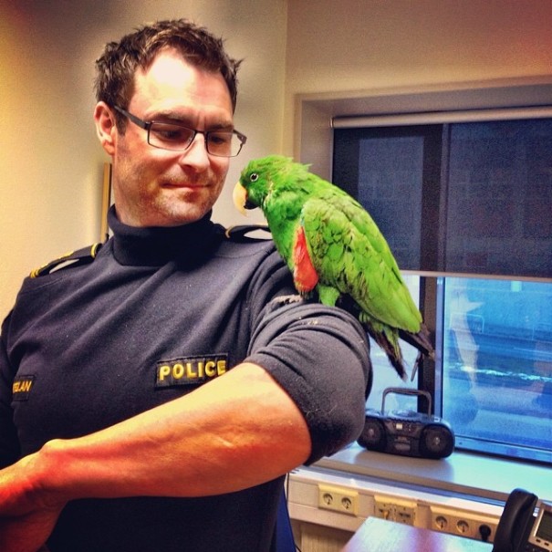 Инстаграм исландских полицейских, Инстаграм полиции Рейкьявика 