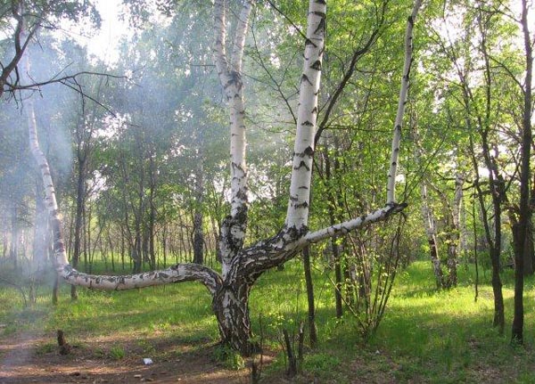 Самые жуткие места в России, мистические места России