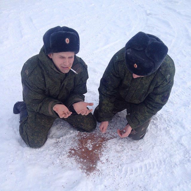 гречка instagram, гречка Россия кризис