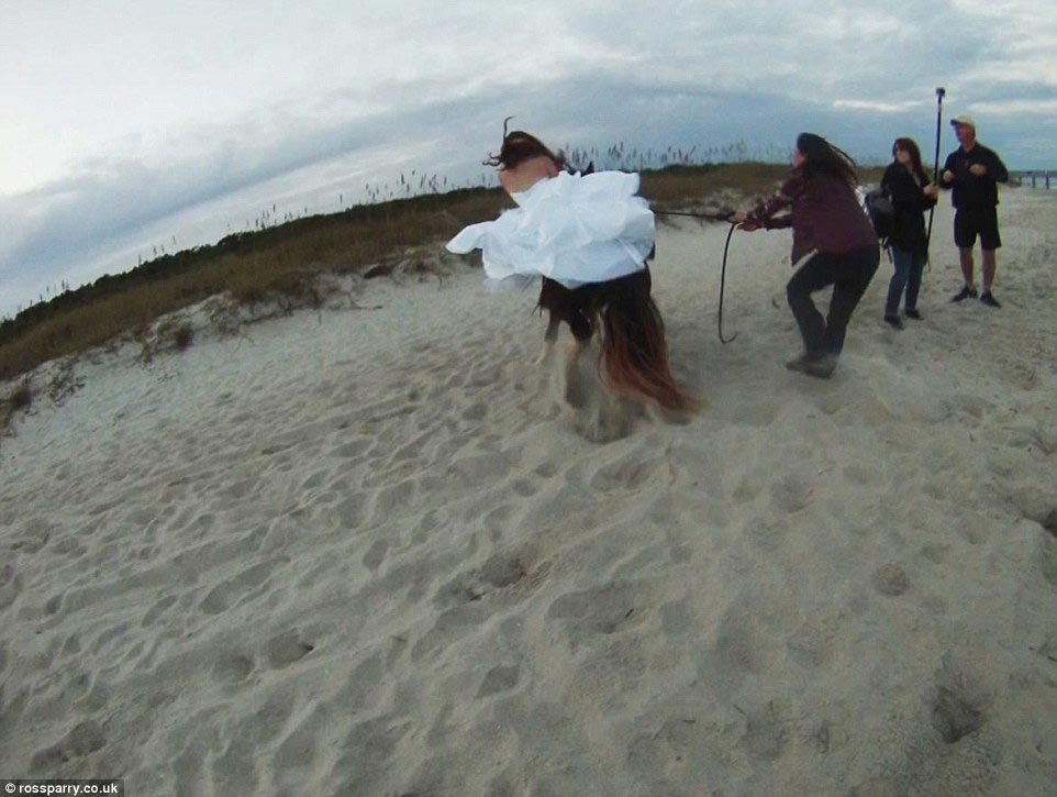 неудачная фотосессия невесты на коне, полный рот песка, лошадь сбросила невесту, невеста упала с лошади