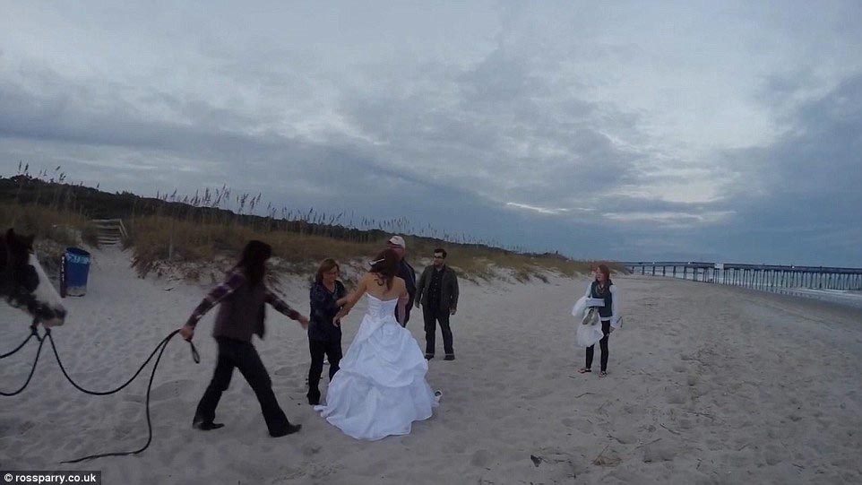 неудачная фотосессия невесты на коне, полный рот песка, лошадь сбросила невесту, невеста упала с лошади