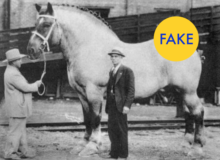 Ложные факты принятые за правду. Часть 2 Ложные факты, фотошоп, принятые за правду, fake