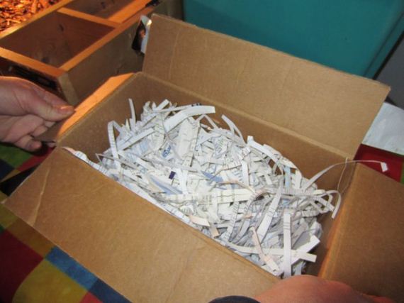 Возвращение, черепашки, Чарли, к жизни, спячка черепах, сухопутные, выход из спячки