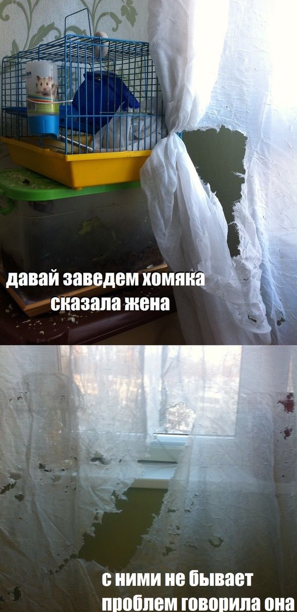 Позитив, юмор, смешные фотографии,прикол