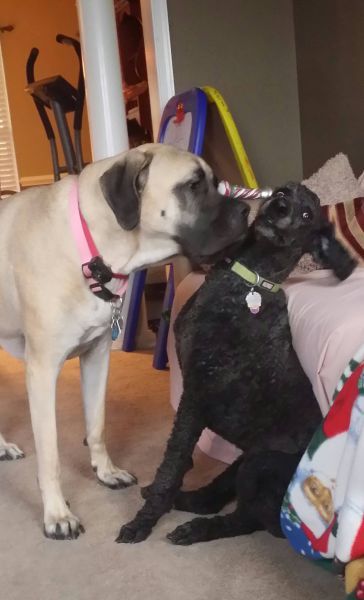 Позитив, юмор, смешные фотографии,прикол