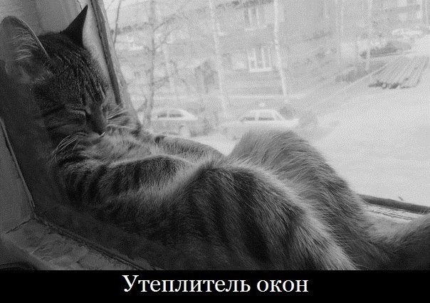 Позитив, юмор, смешные фотографии,прикол