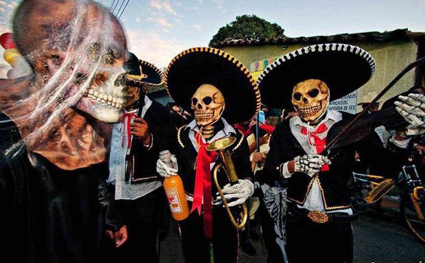 нелепые преступления, курьёзные преступления 2013, глупые преступники