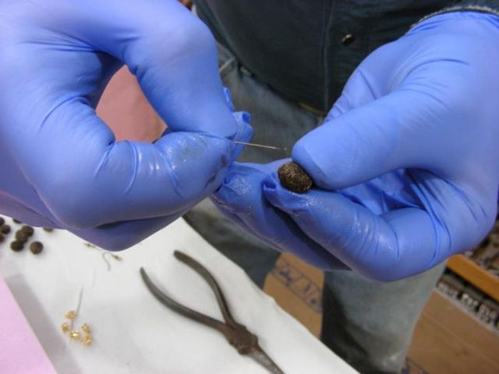 сережки из какашек зайца, украшения из экскрементов, 