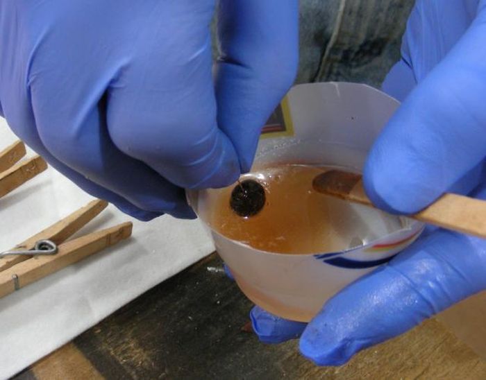 сережки из какашек зайца, украшения из экскрементов, 