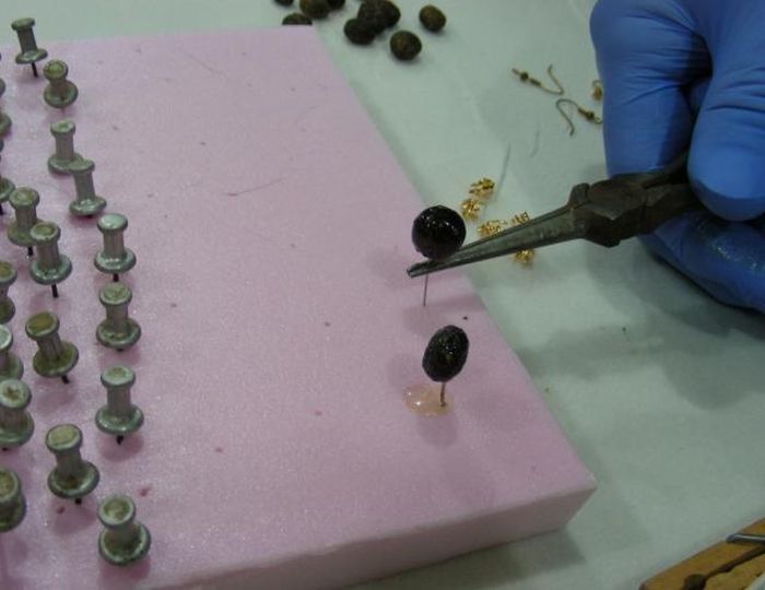 сережки из какашек зайца, украшения из экскрементов, 