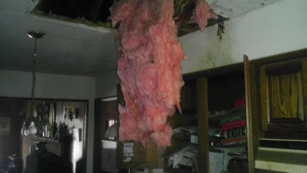 Во что может превратить дом семейство енотов еноты пробрались в дом, еноты в доме, еноты устроили бардак