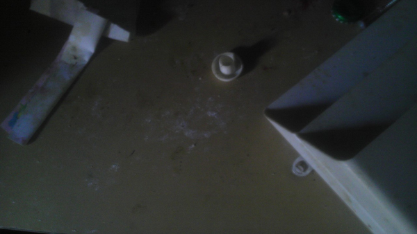 Во что может превратить дом семейство енотов еноты пробрались в дом, еноты в доме, еноты устроили бардак