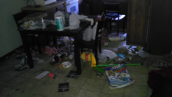 Во что может превратить дом семейство енотов еноты пробрались в дом, еноты в доме, еноты устроили бардак