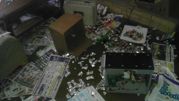 Во что может превратить дом семейство енотов еноты пробрались в дом, еноты в доме, еноты устроили бардак