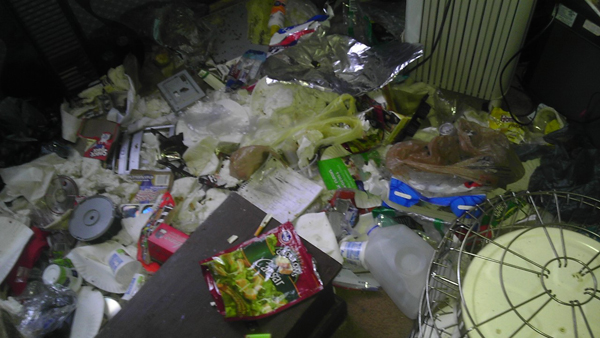 Во что может превратить дом семейство енотов еноты пробрались в дом, еноты в доме, еноты устроили бардак