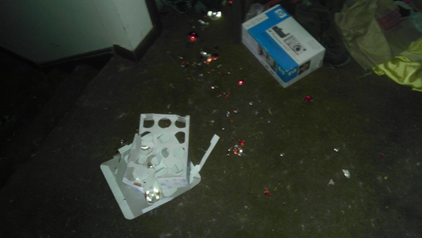 Во что может превратить дом семейство енотов еноты пробрались в дом, еноты в доме, еноты устроили бардак