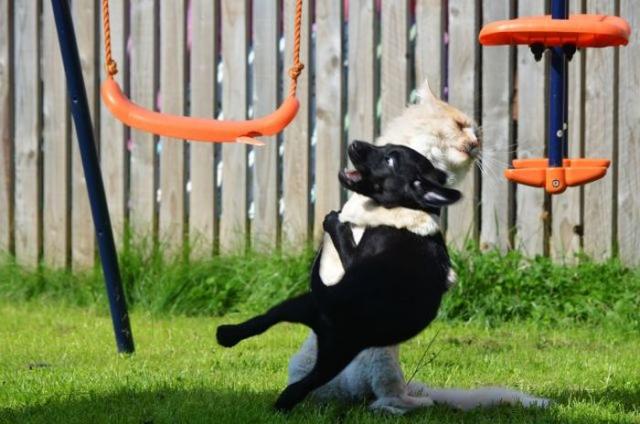 Позитив, юмор, смешные фотографии,прикол