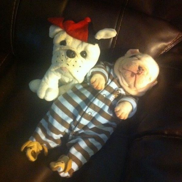 Позитив, юмор, смешные фотографии,прикол