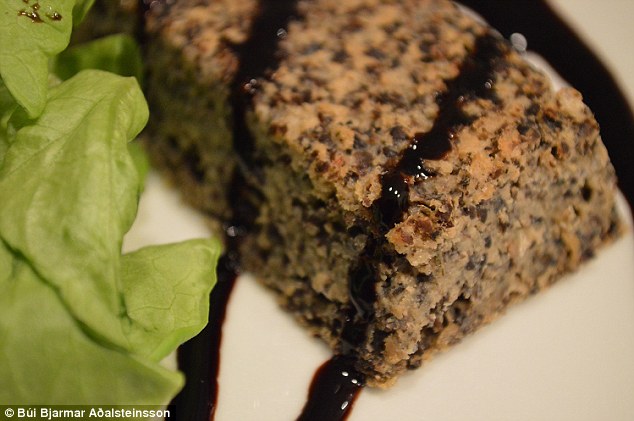 блюда из личинок, личинки мух, исландский студент, fly factory