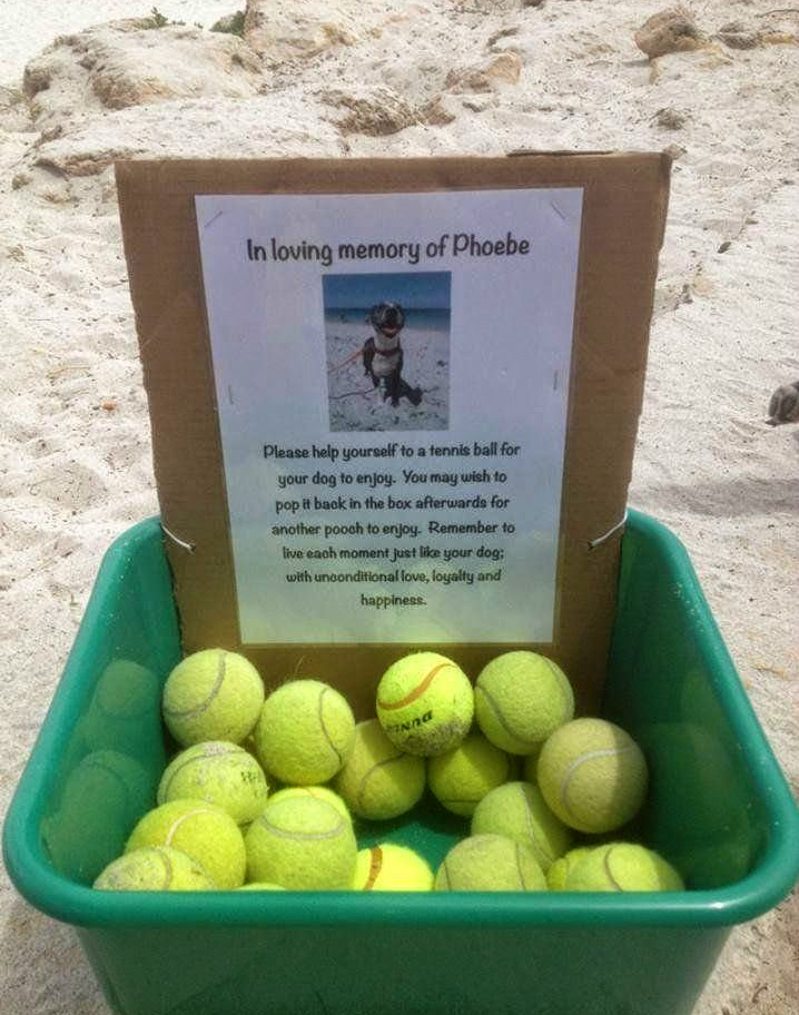 Добрые поступки, хорошие дела, добрые люди, доброта