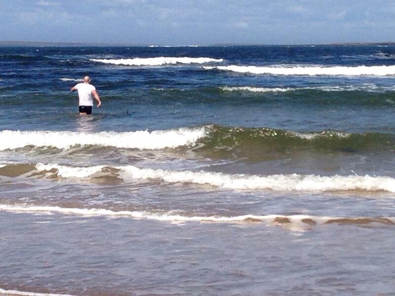 Добрые поступки, хорошие дела, добрые люди, доброта