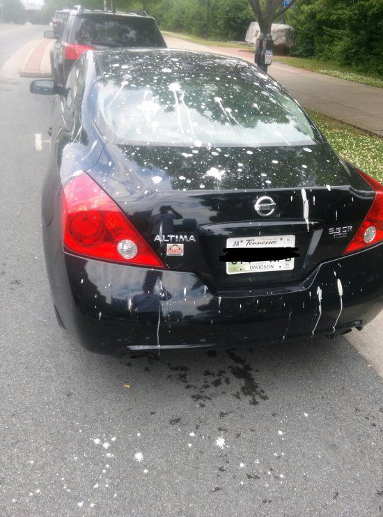 Сначала всё было нормально, а потом случилась эта хрень дерьмо случается, началась хрень, смешные неловкие ситуации, всё было нормально