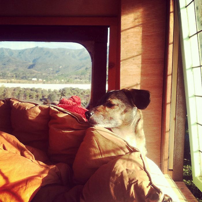 автобус в дом на колесах, дизайн автобуса дом на колесах