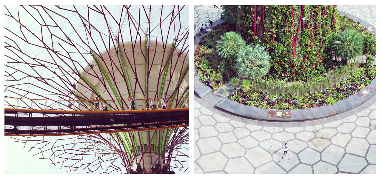 Питер Седласик Peter Sedlacik, Зузу Галова Zuzu Galova, Lens Between Us, объектив между нами