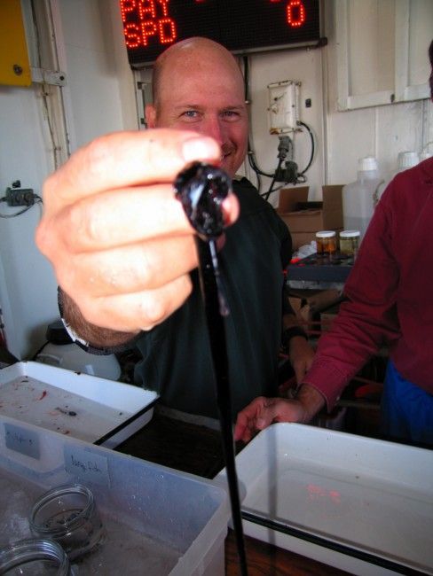 Рыбаки выловили страшную рыбу, черная рыба-дракон, рыба похожая на чужого, рыба из фильма Чужой