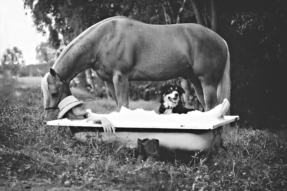 студенты позировали голыми для календаря, ветеринары снялись обнажёнными ради сбора средств