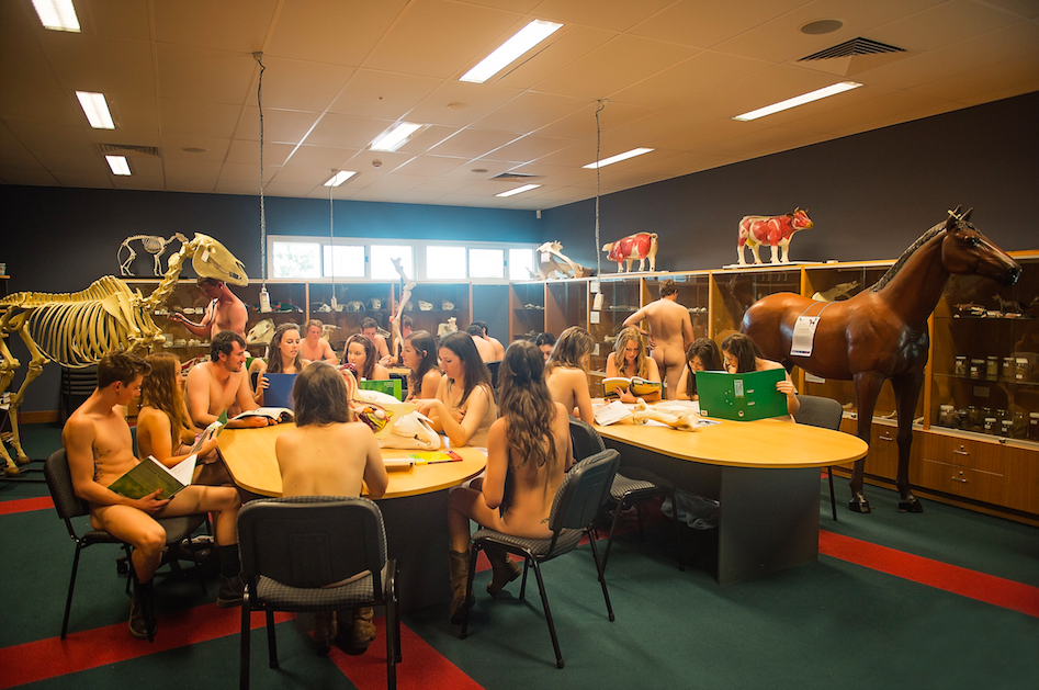 студенты позировали голыми для календаря, ветеринары снялись обнажёнными ради сбора средств