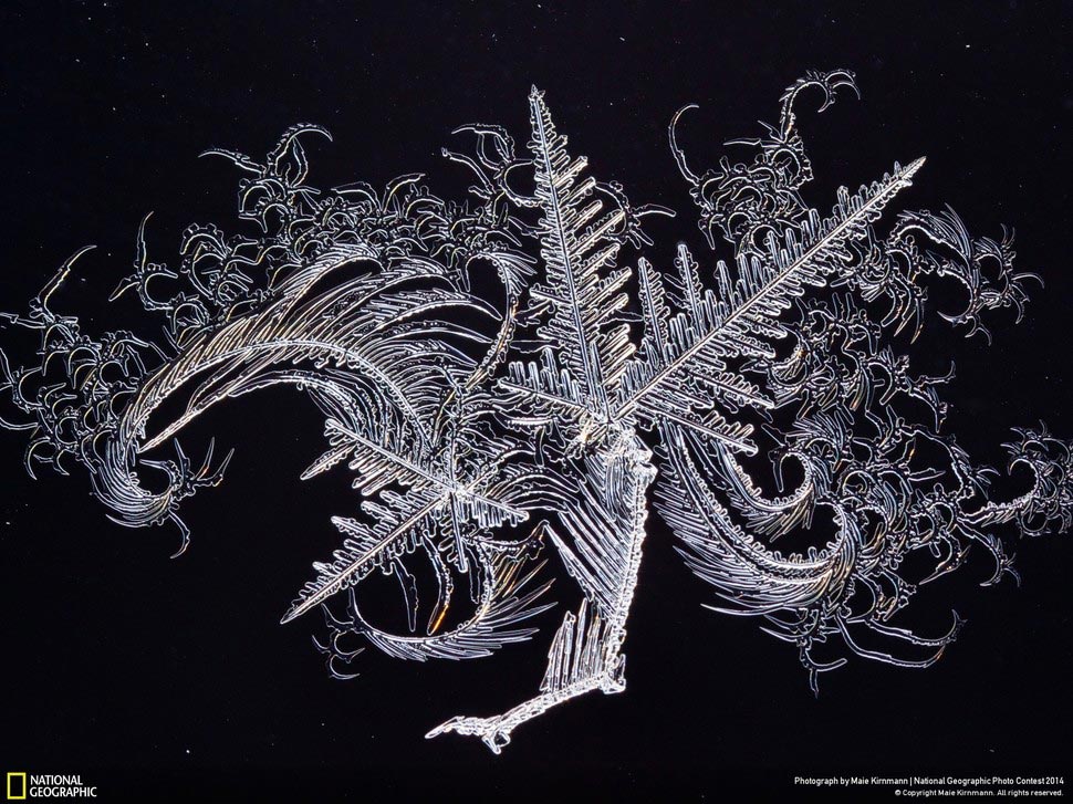 Победители National Geographic Photo Contest 2014