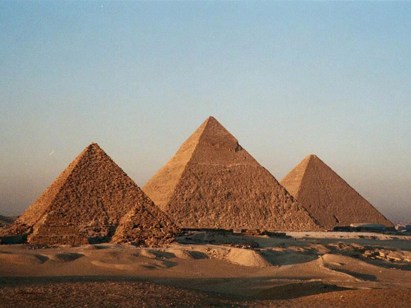 познавательные факты, а вы знали что, спорим вы не знали