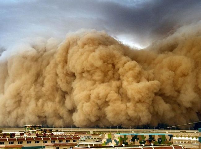 познавательные факты, а вы знали что, спорим вы не знали