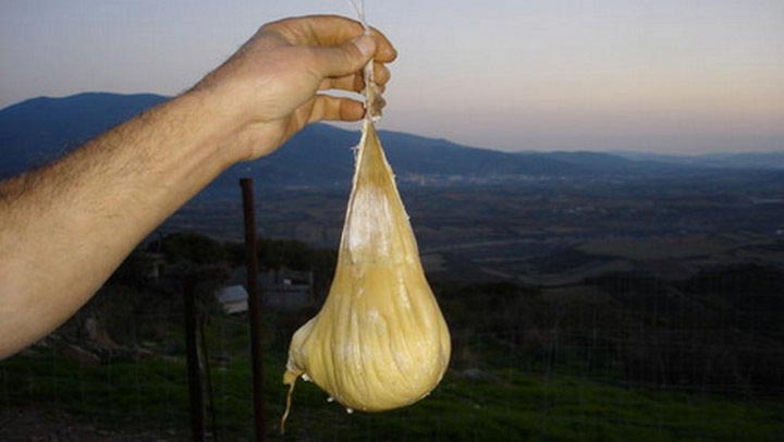 познавательные факты, а вы знали что, спорим вы не знали