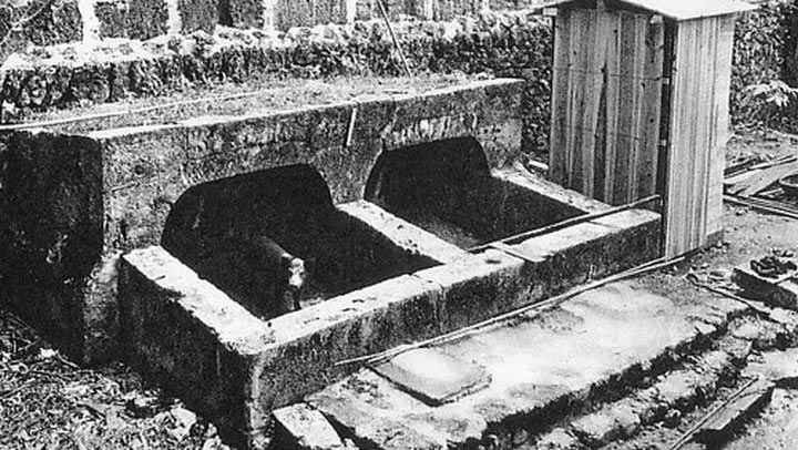 познавательные факты, а вы знали что, спорим вы не знали