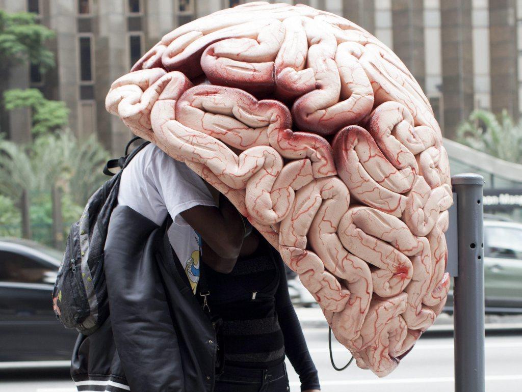 Фото мозг людей