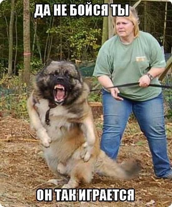 Позитив, юмор, смешные фотографии,прикол