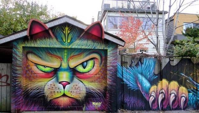 Позитив, юмор, смешные фотографии,прикол