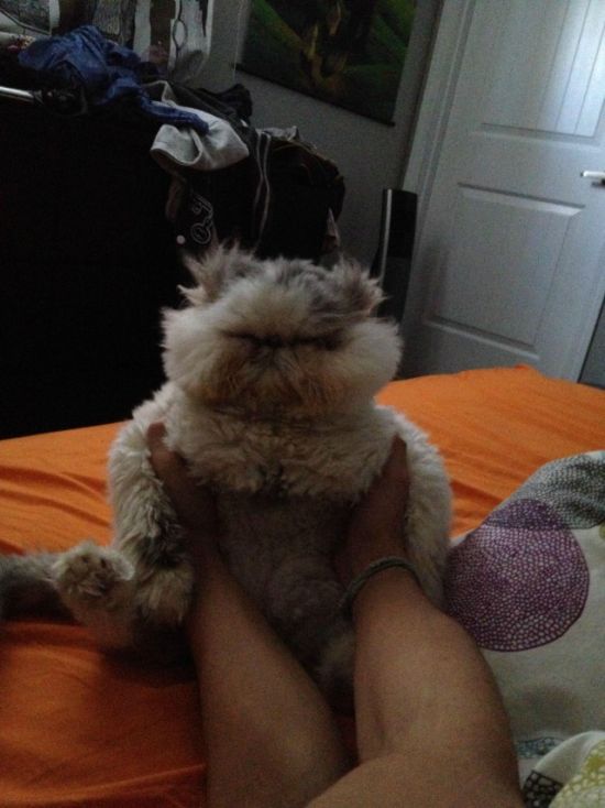 Позитив, юмор, смешные фотографии,прикол