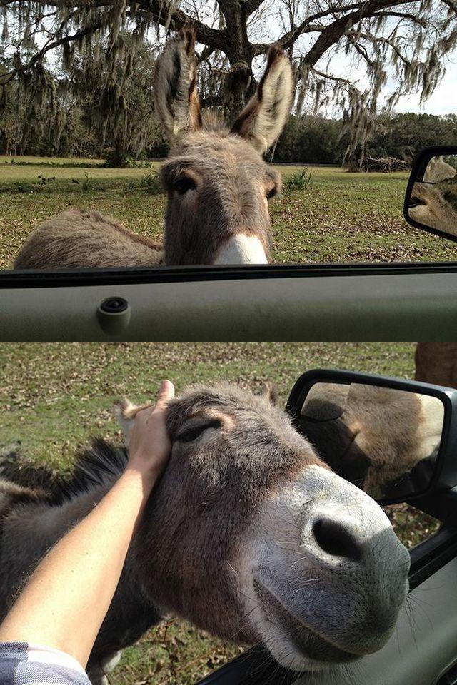 Позитив, юмор, смешные фотографии,прикол