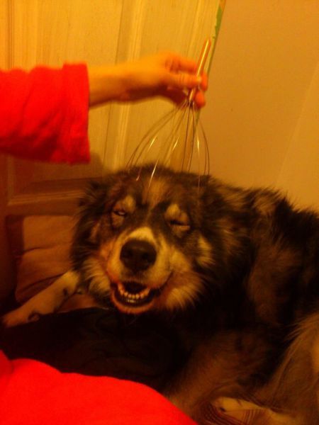 Позитив, юмор, смешные фотографии,прикол