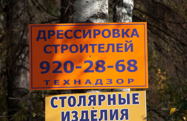 смешные надписи, объявления, маразмы