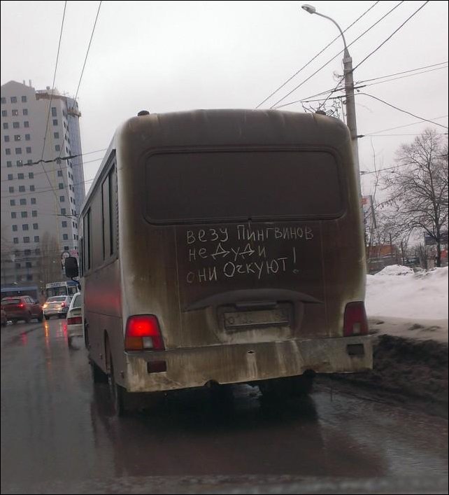 смешные надписи, объявления, маразмы