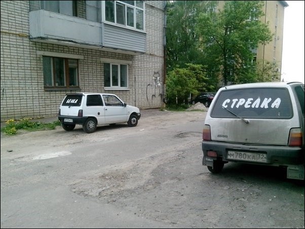 смешные надписи, объявления, маразмы