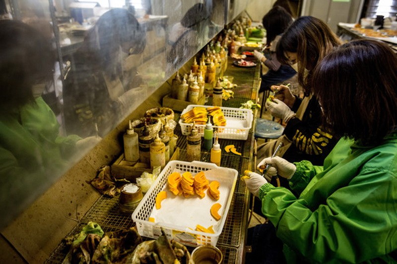 Аппетитные, но несъедобные виниловые муляжи блюд японской кухни аппетитныне муляжи, Japanese Vinyl Food Factory, фабрика Iwasaki