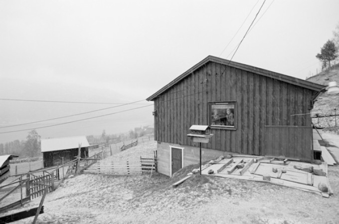 Фотопроект Братья, фотограф Элин Хойланд, Elin Hoyland, Матиас и Харальд Рамен