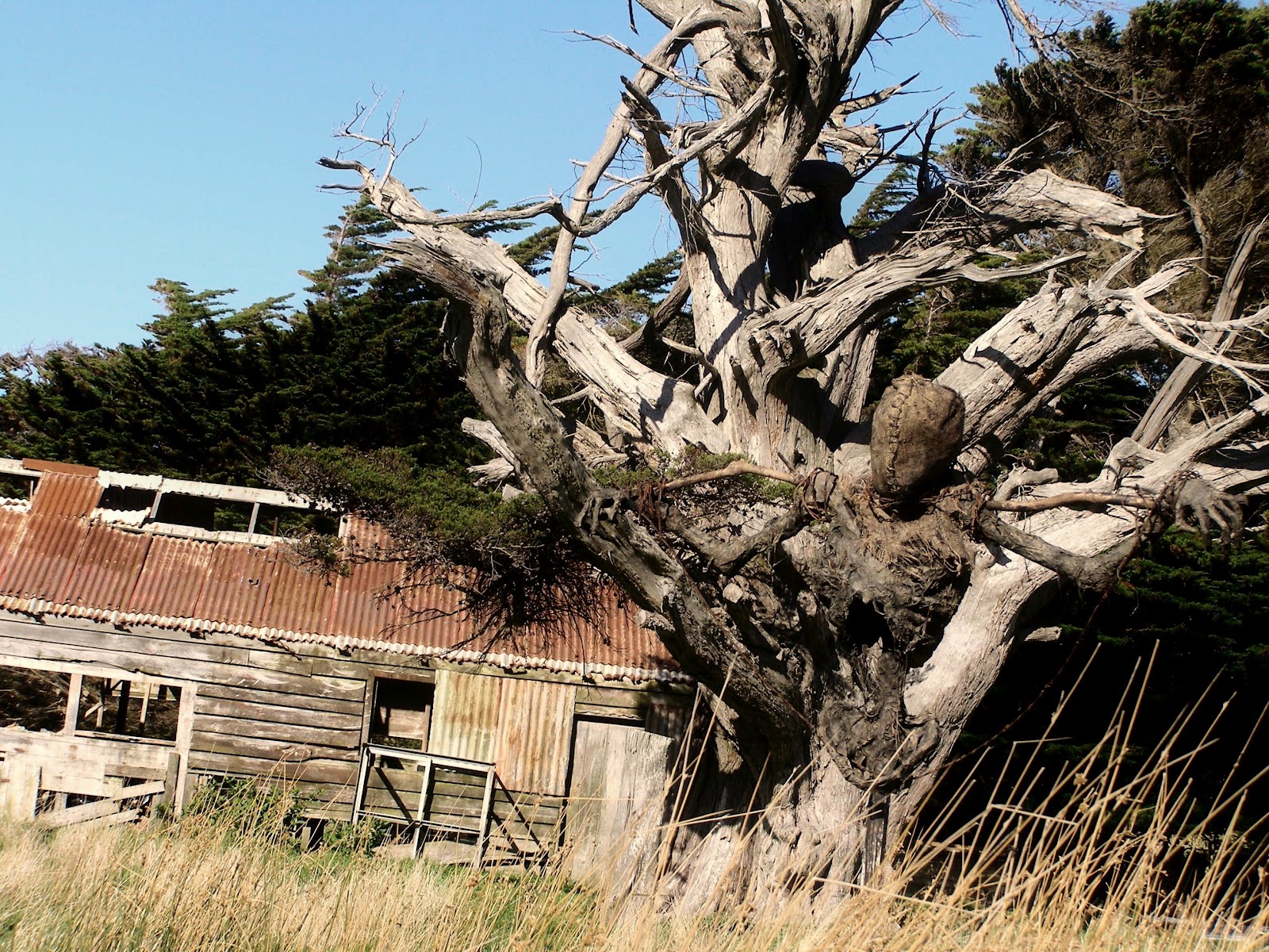 жуткое пугало, the house of marrow, Теодор Холмстэд-Скотт Theodore Holmstead-Scott